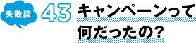 失敗談 43 キャンペーンって何だったの？
